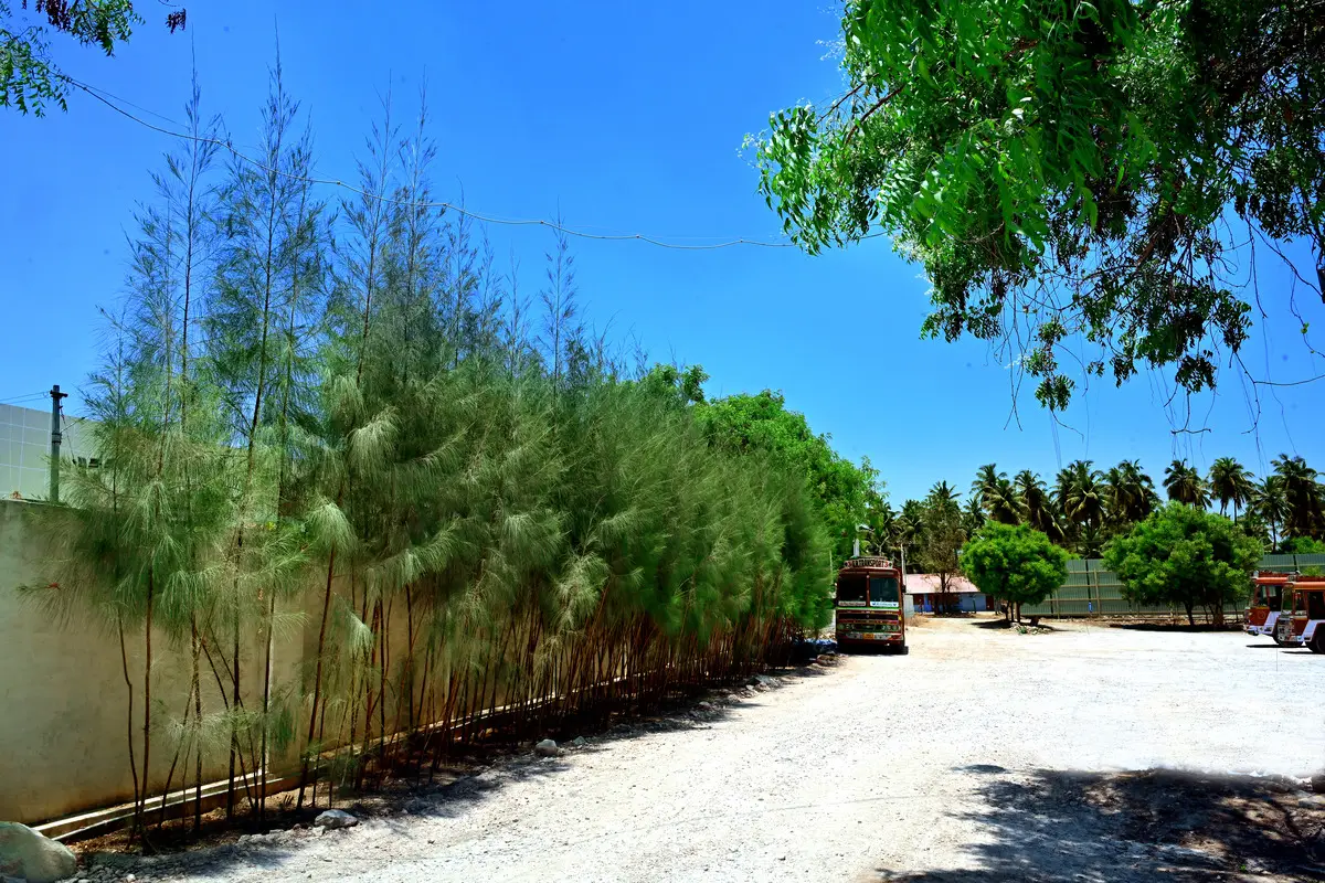 nirajana_minearls_CITY LAB _01